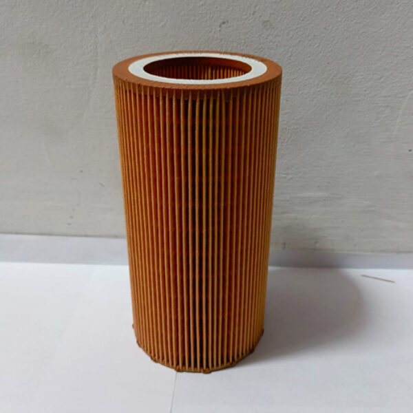 AIR FILTER 1636300579