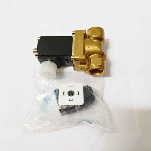 SOLENOID VALVE 100008870