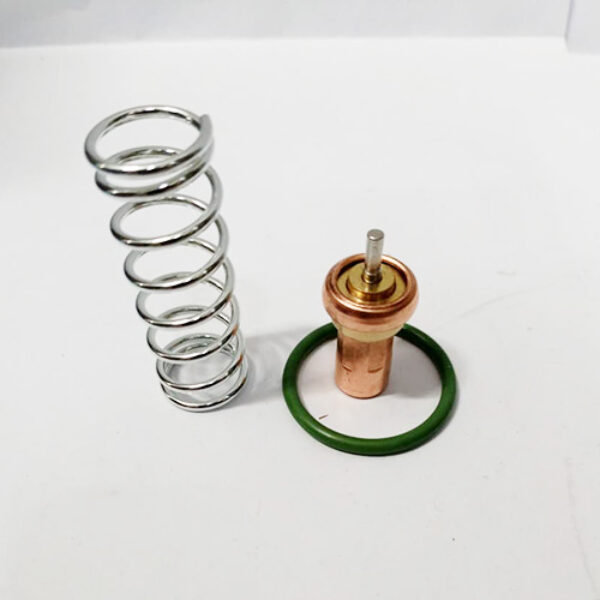 THERMOSTATIC VALVE KIT 24509184